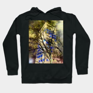 Griest Building Lancaster Hoodie